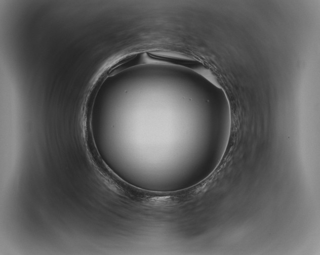 X0000114210054200910161255