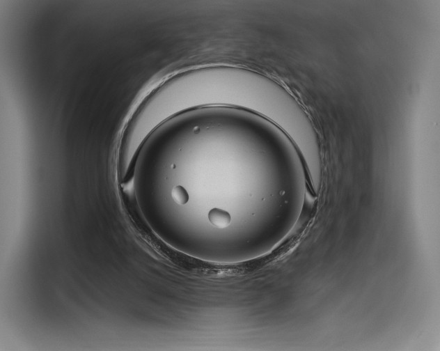 X0000114210056200910161255