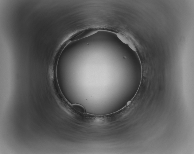 X0000114210060200910161256