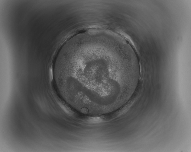 X0000114210061200910161256