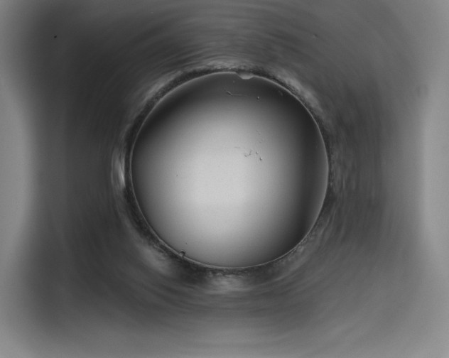 X0000114210062200910161256