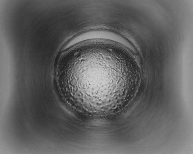 X0000114210063200910161256