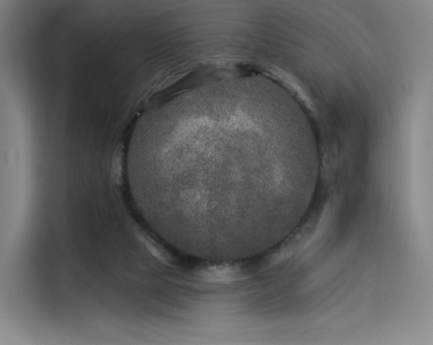 X0000114210065200910161256