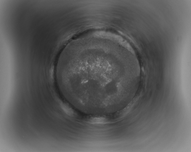 X0000114210066200910161256