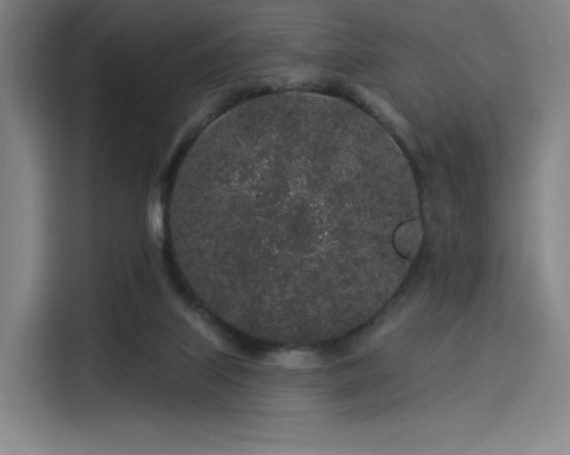 X0000114210067200910161256