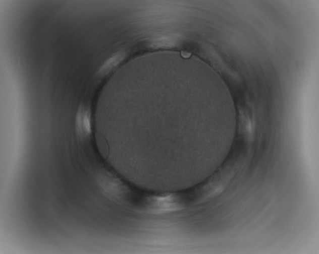 X0000114210068200910161256