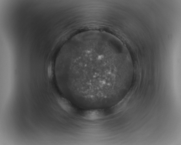 X0000114210074200910161256
