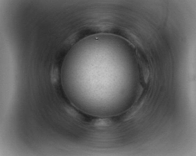 X0000114210077200910161256