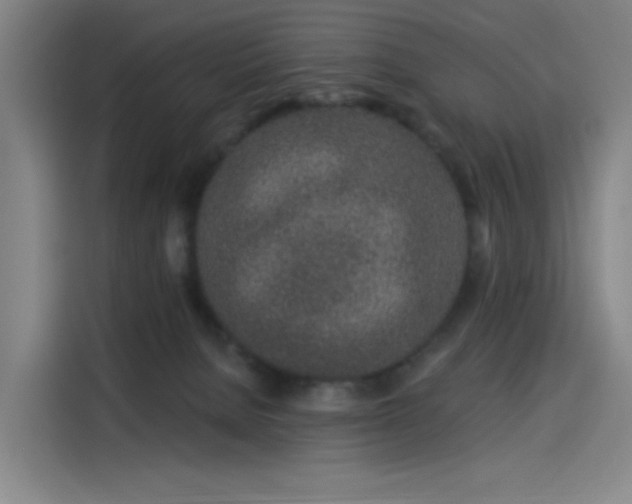 X0000114210080200910161256