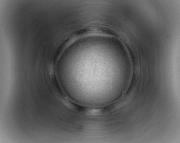 X0000114210081200910161256