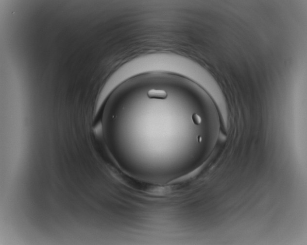 X0000114210084200910161256