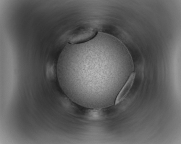 X0000114210088200910161256