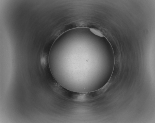 X0000114210090200910161256