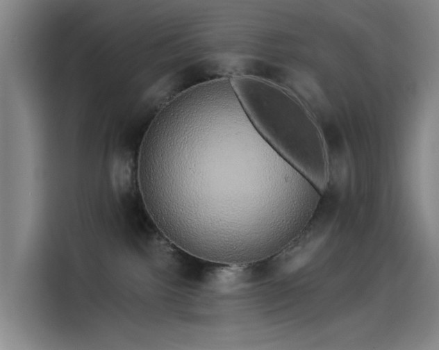 X0000114210092200910161256