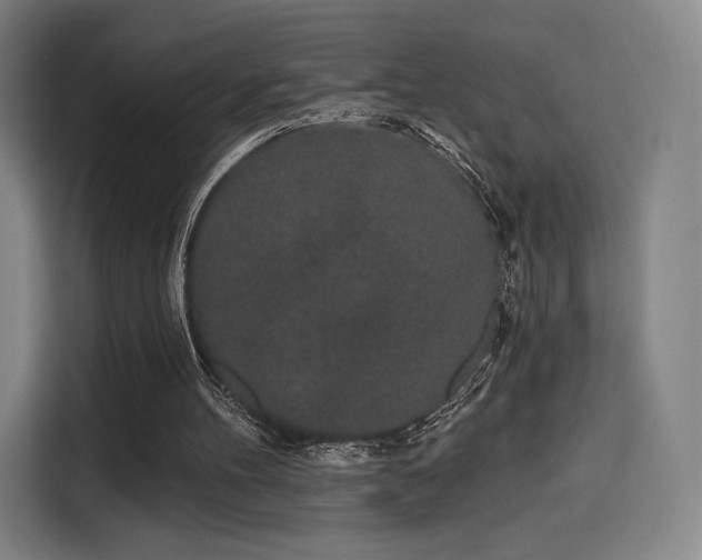 X0000114210100200910161255