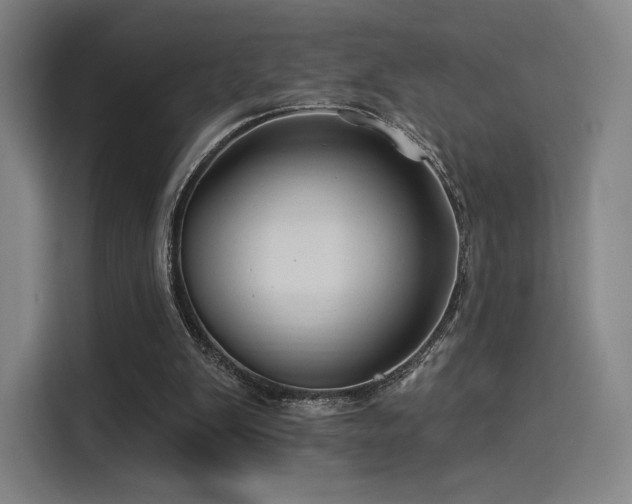 X0000114210103200910161255