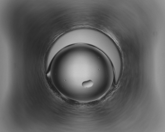 X0000114210105200910161255