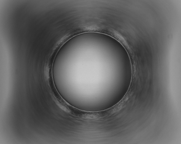 X0000114210106200910161255