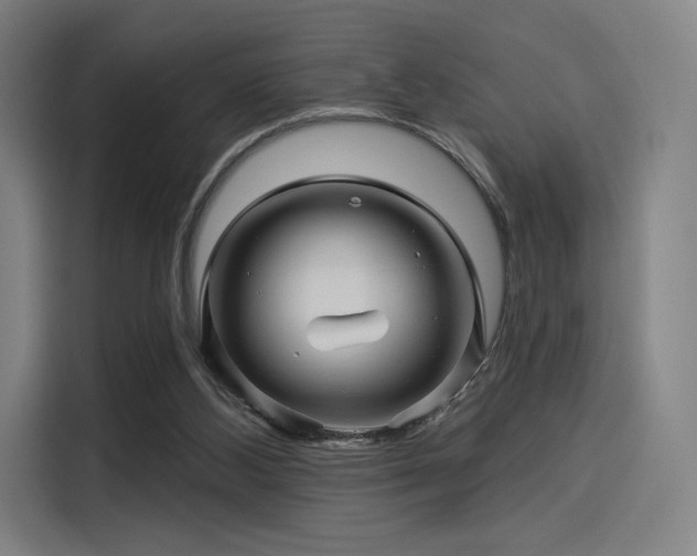 X0000114210108200910161255