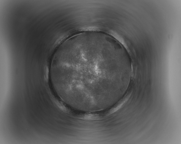 X0000114210109200910161255