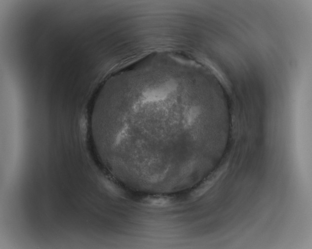 X0000114210113200910161255