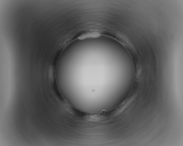 X0000114210121200910161255