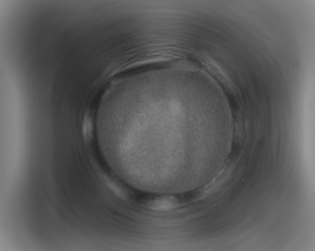 X0000114210124200910161255