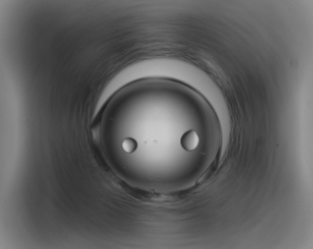 X0000114210125200910161255