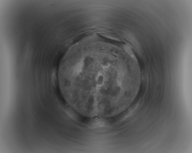 X0000114210127200910161255