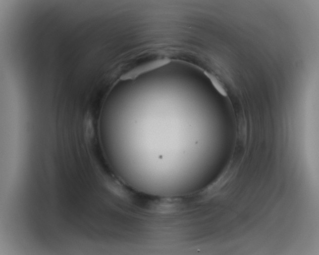 X0000114210128200910161255