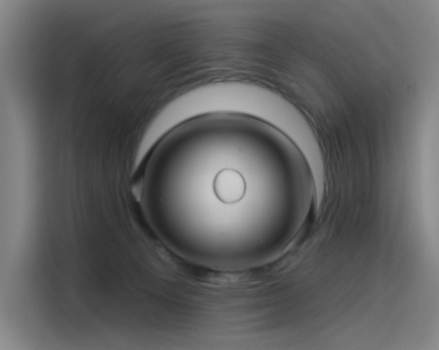 X0000114210129200910161255