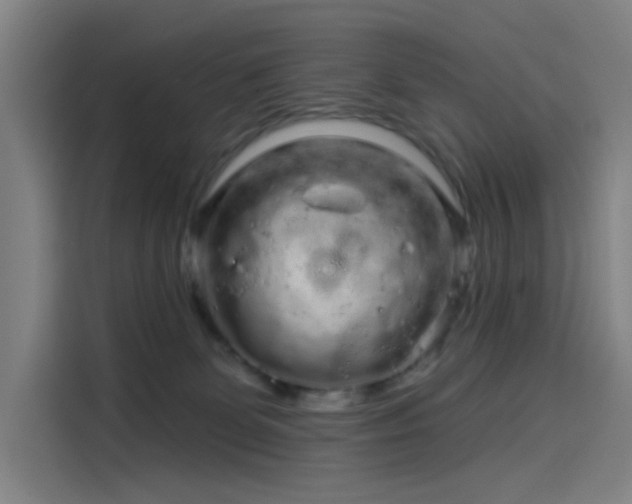 X0000114210131200910161255
