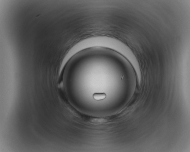 X0000114210133200910161255