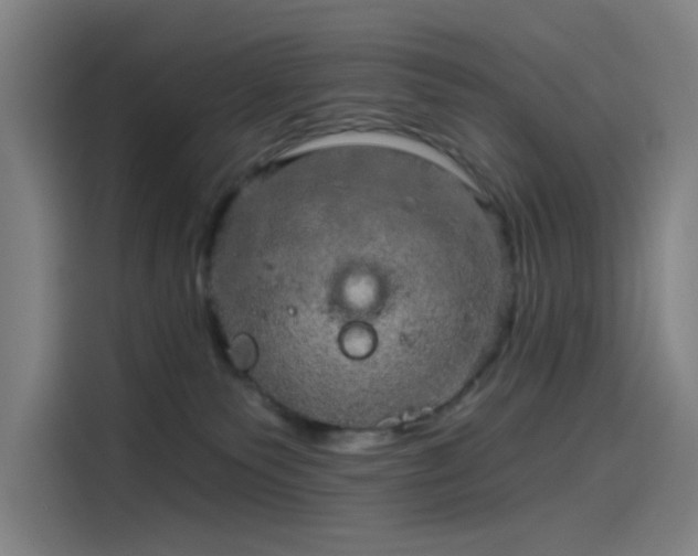 X0000114210135200910161255
