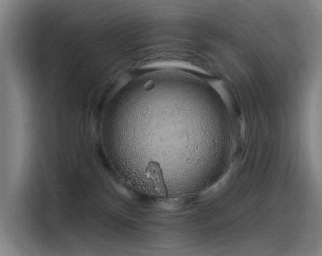 X0000114210136200910161255