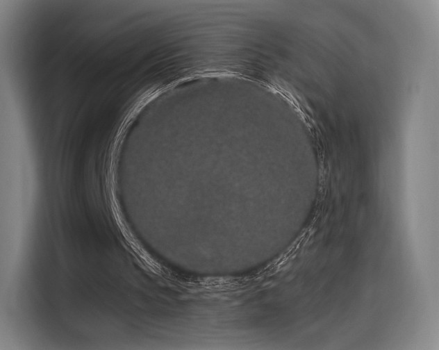 X0000114210145200910161254