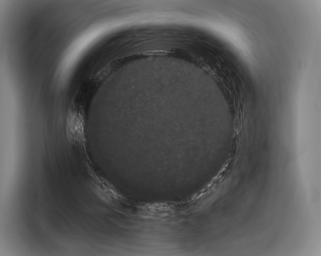X0000114210146200910161254