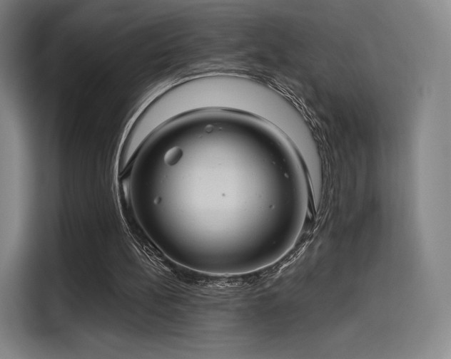 X0000114210148200910161254