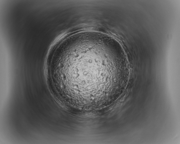X0000114210149200910161254