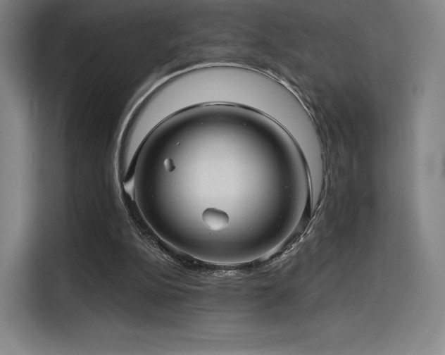 X0000114210152200910161254