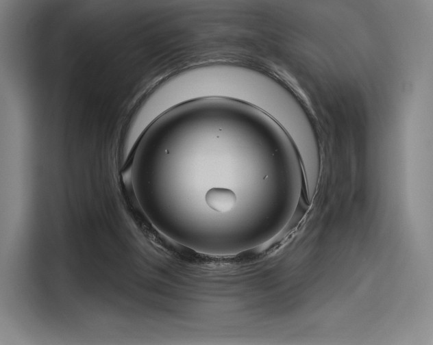 X0000114210154200910161254