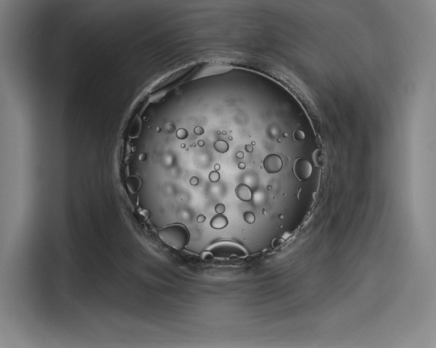 X0000114210155200910161254