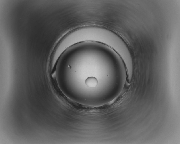 X0000114210156200910161254