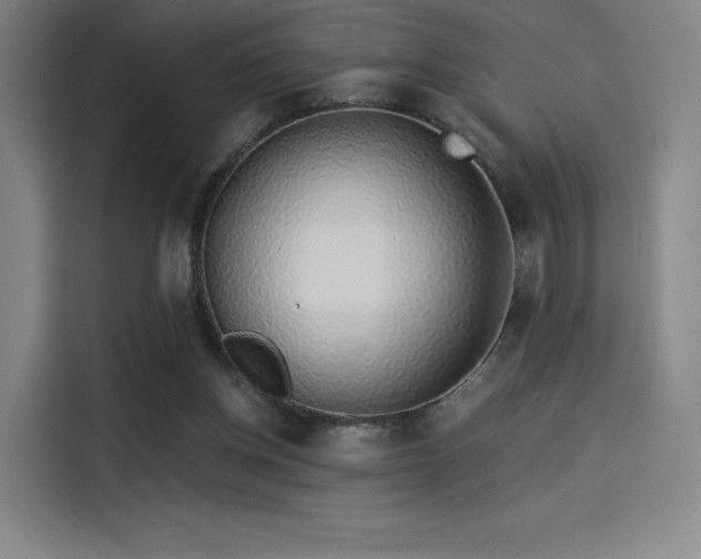X0000114210158200910161254