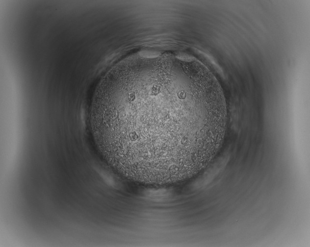 X0000114210161200910161254