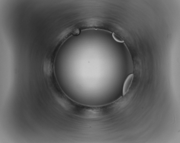 X0000114210164200910161254