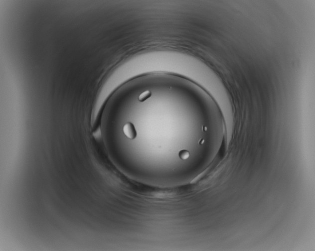 X0000114210168200910161254