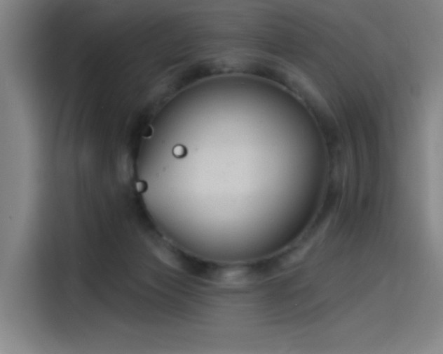 X0000114210173200910161254