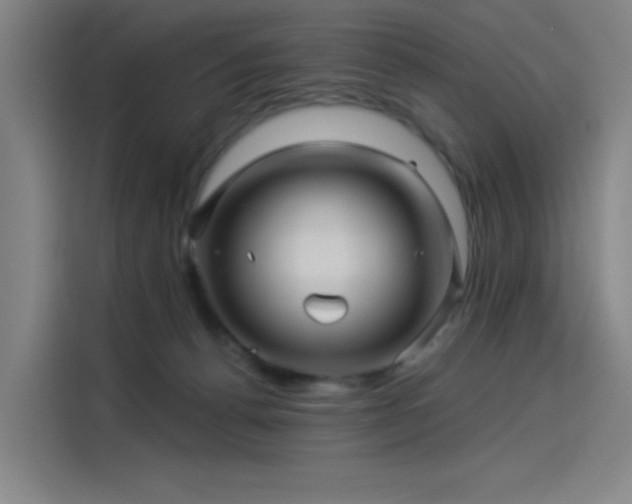 X0000114210176200910161255