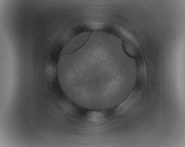X0000114210180200910161255